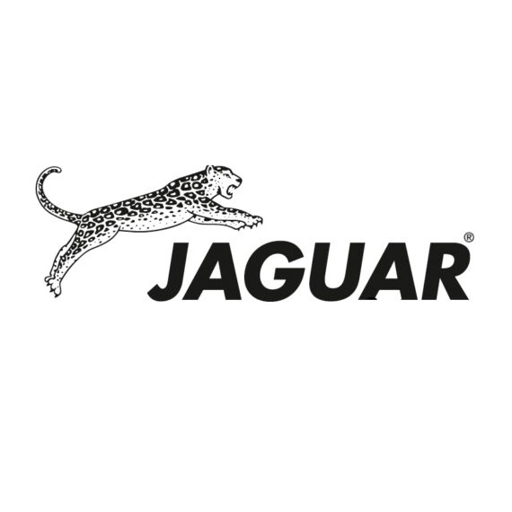 jaguar logo